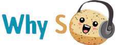 logo Why so